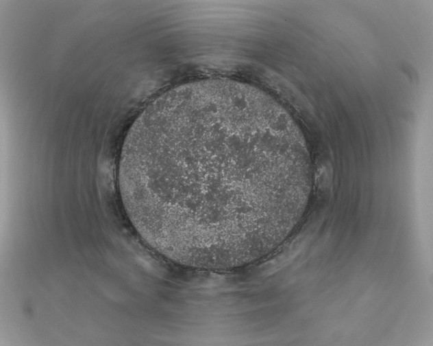 X0000112380772200909031951