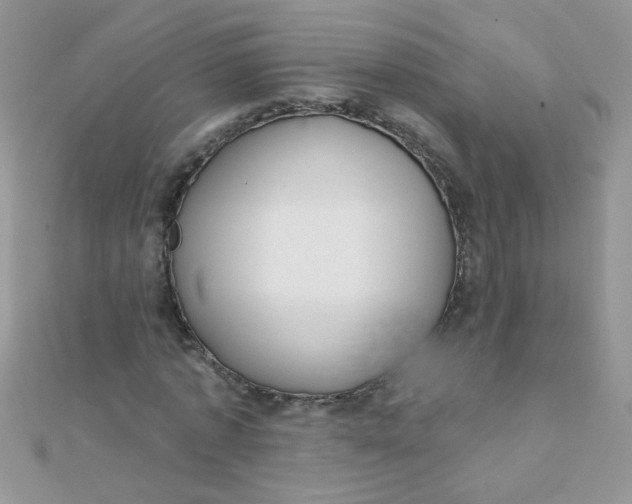 X0000112380773200909031951