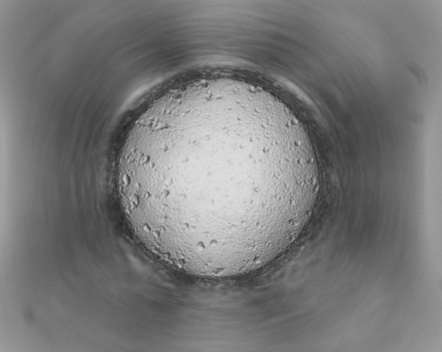 X0000112380775200909031951