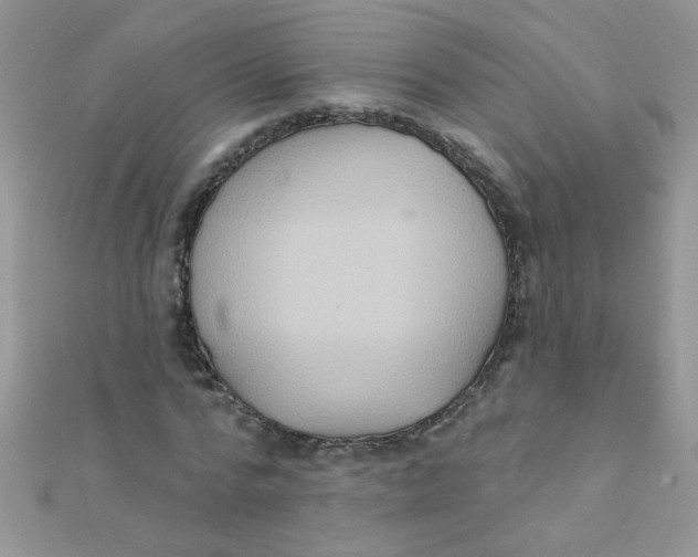 X0000112380776200909031951