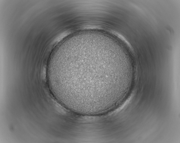 X0000112380777200909031951