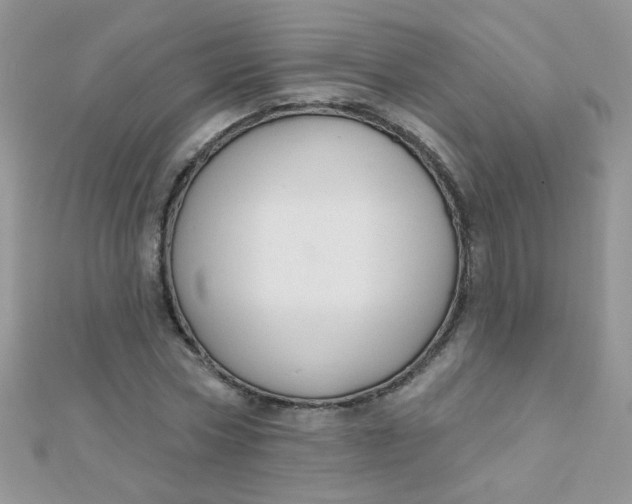 X0000112380778200909031951