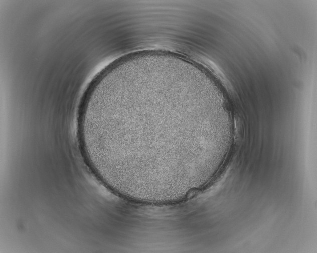 X0000112380780200909031951