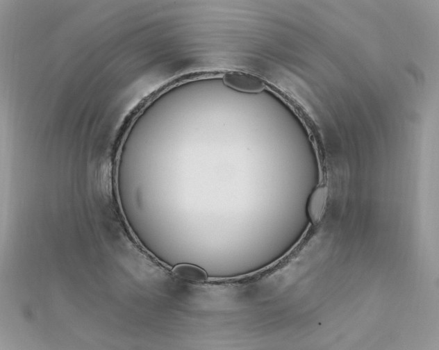 X0000112380781200909031951