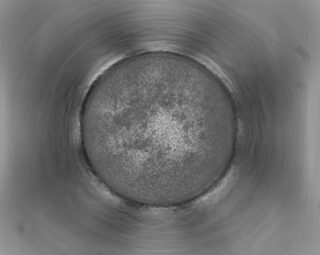 X0000112380782200909031951