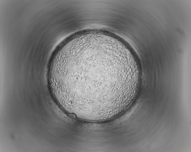 X0000112380783200909031951