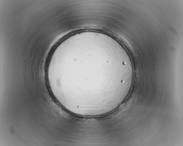 X0000112380784200909031951