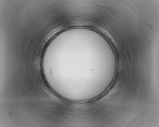 X0000112380786200909031951