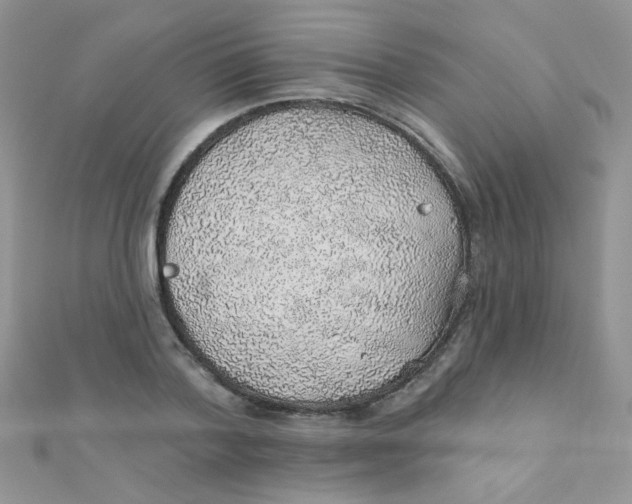 X0000112380788200909031951