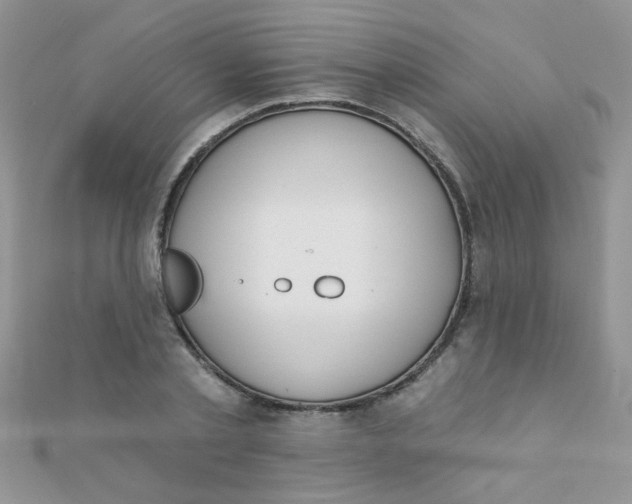 X0000112380789200909031951