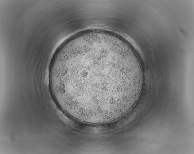 X0000112380791200909031951