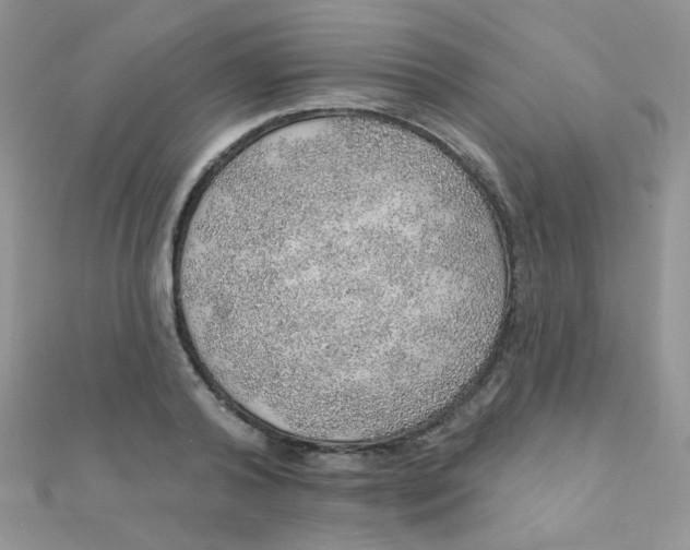 X0000112380792200909031951