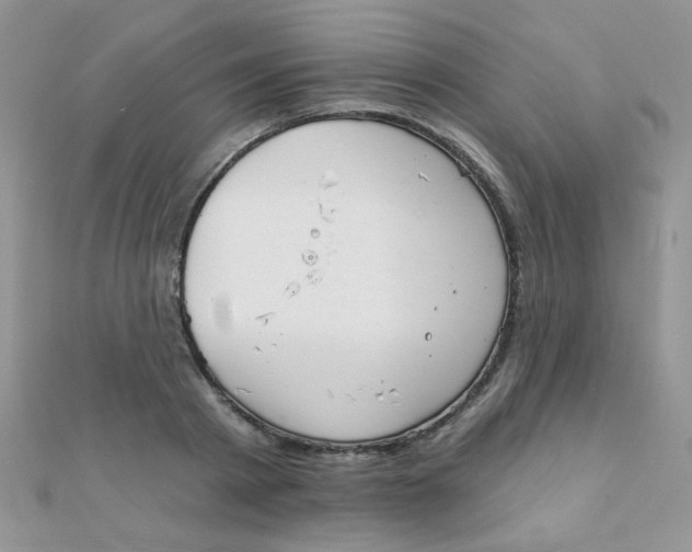 X0000112380793200909031951