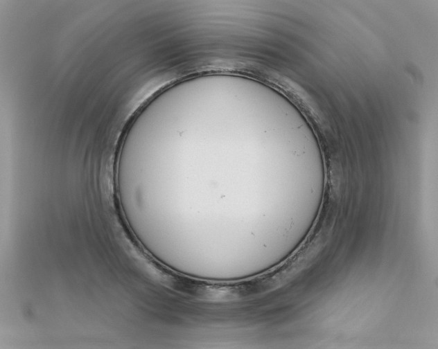 X0000112380794200909031951