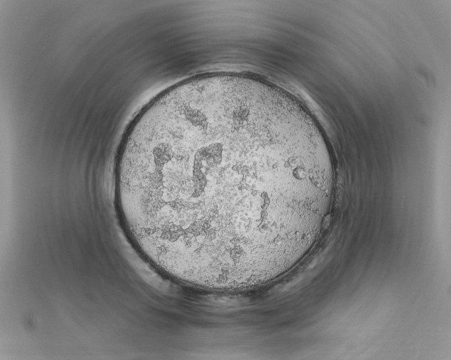 X0000112380795200909031951