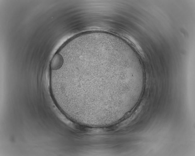 X0000112380796200909031951