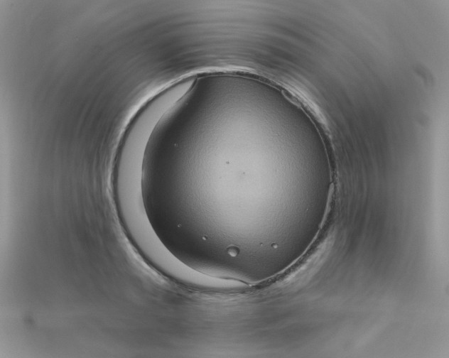 X0000112380797200909031951