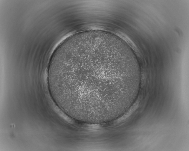 X0000112380798200909031951