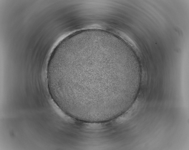 X0000112380800200909031951