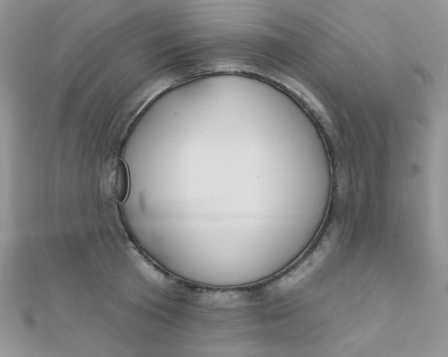 X0000112380801200909031951