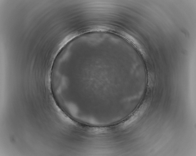 X0000112380802200909031951