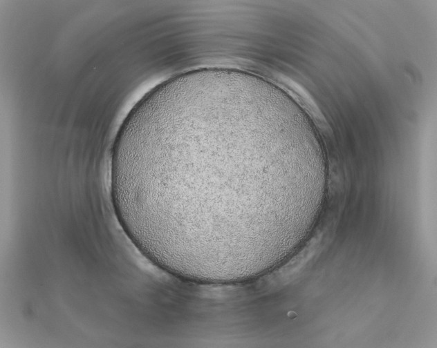 X0000112380804200909031951