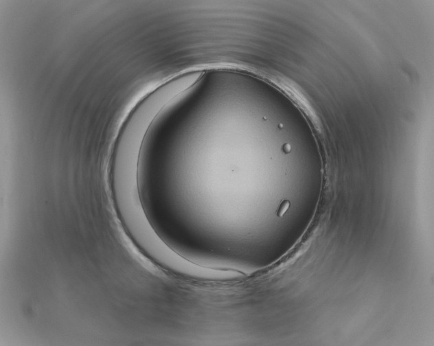 X0000112380805200909031951