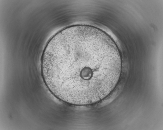 X0000112380807200909031951