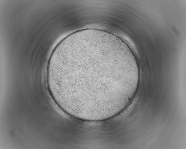 X0000112380808200909031951