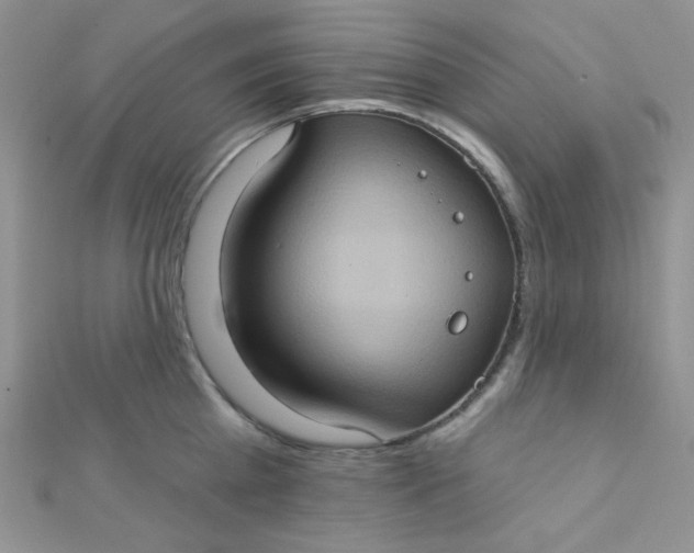 X0000112380809200909031951