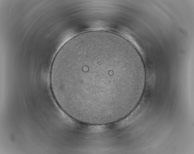 X0000112380810200909031951