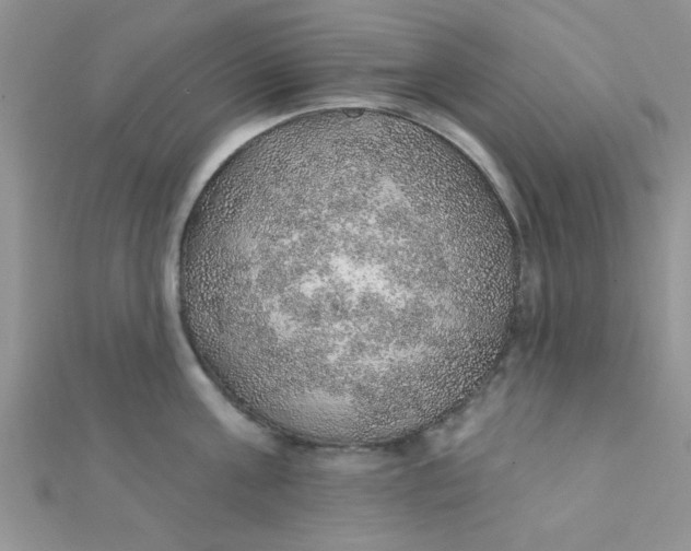 X0000112380811200909031951