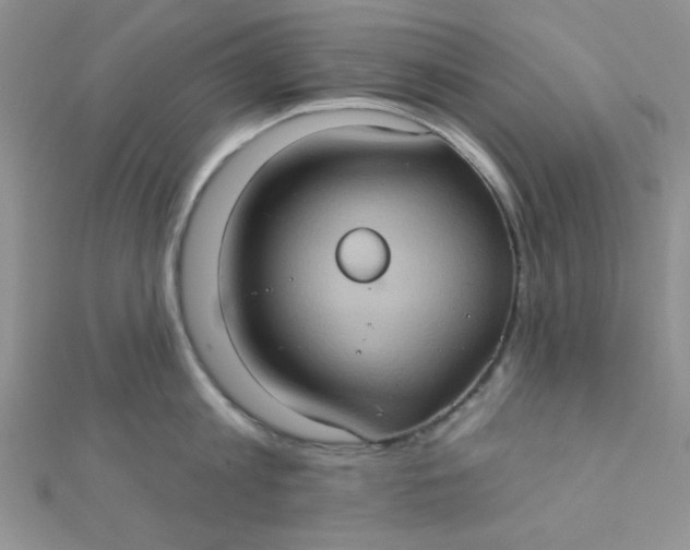 X0000112380813200909031951