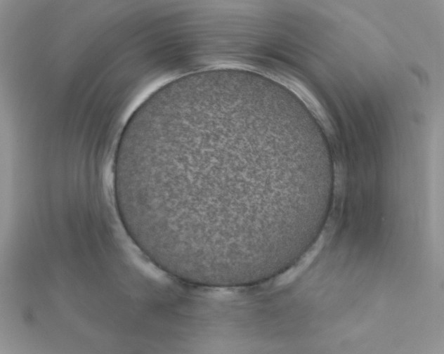 X0000112380814200909031951