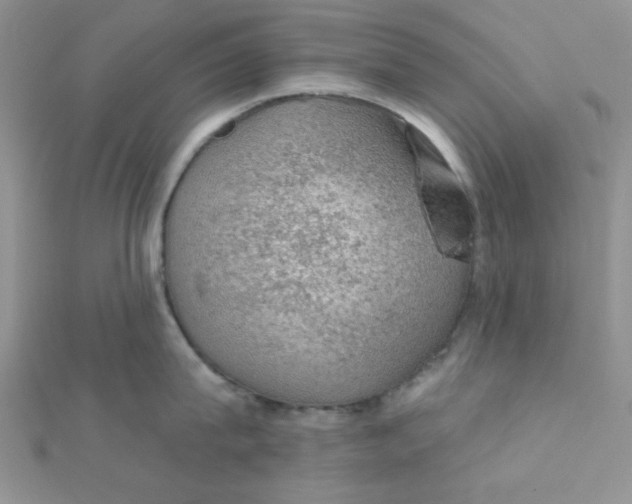 X0000112380815200909031951