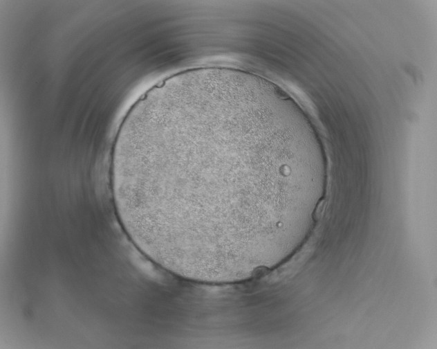 X0000112380816200909031951