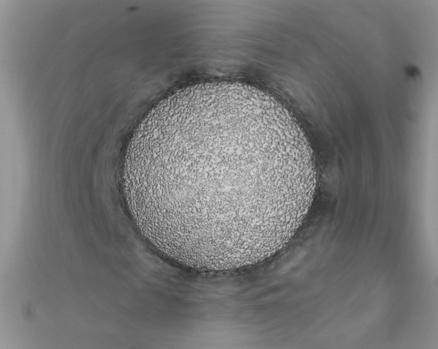 X0000112380817200909031950