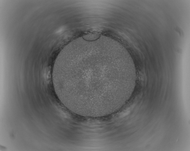 X0000112380818200909031950