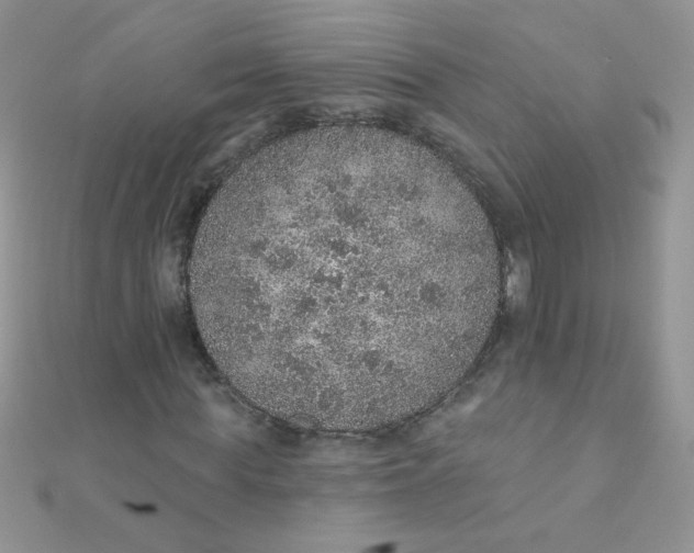 X0000112380819200909031950