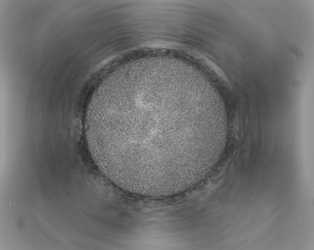 X0000112380821200909031950