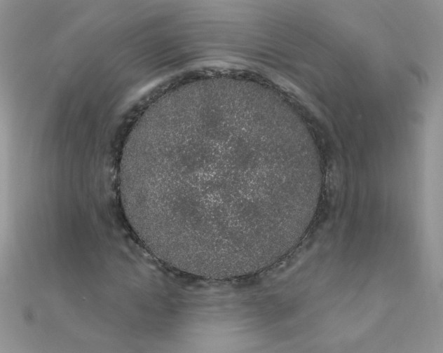 X0000112380822200909031950