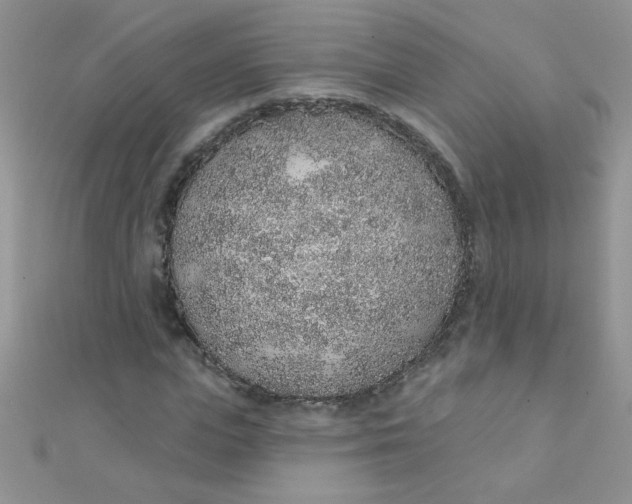 X0000112380823200909031950