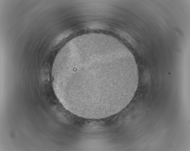 X0000112380824200909031950