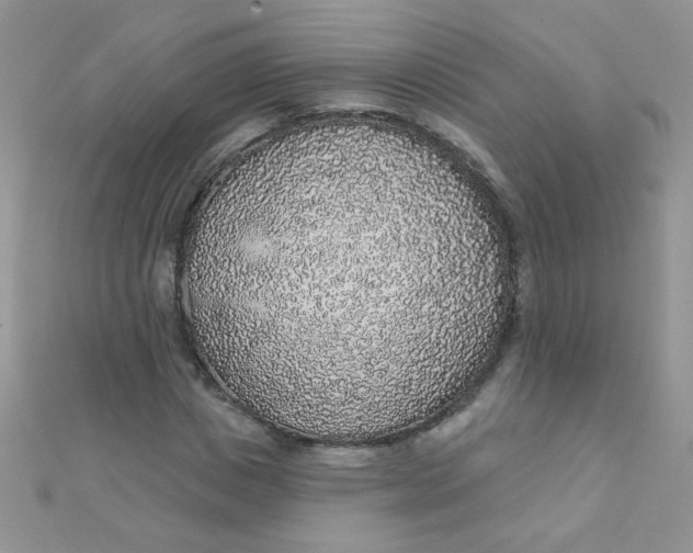 X0000112380825200909031950