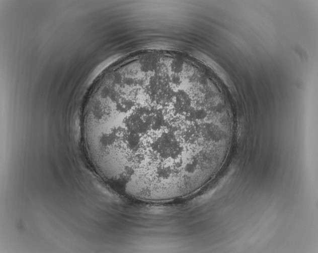 X0000112380829200909031950