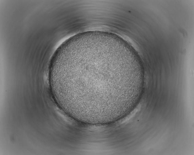 X0000112380830200909031950