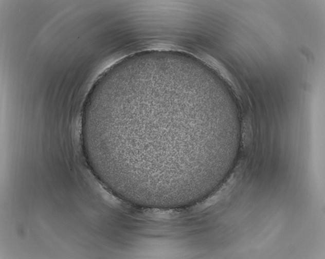 X0000112380831200909031950