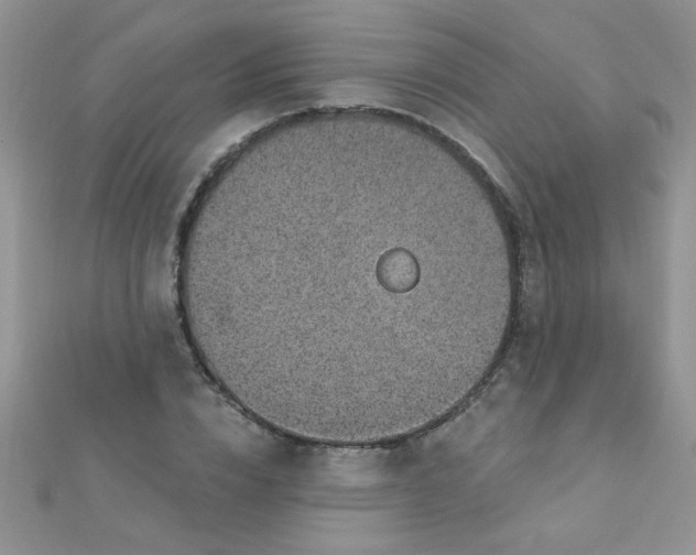 X0000112380832200909031950