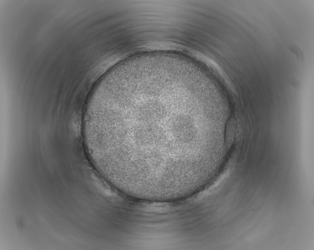 X0000112380833200909031950