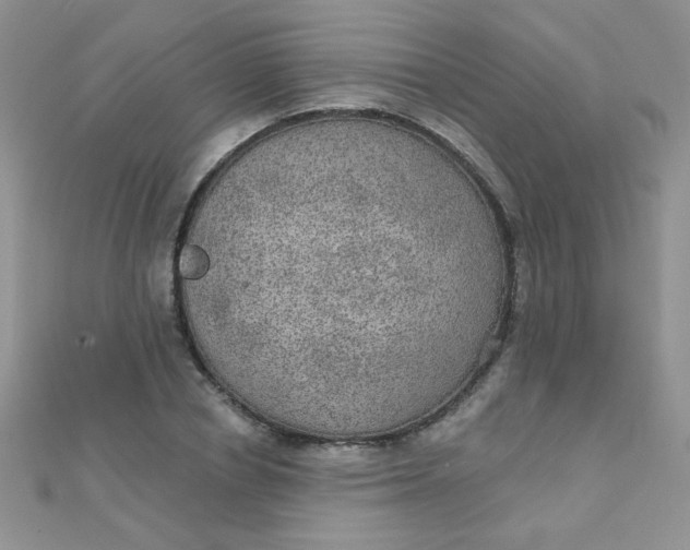 X0000112380834200909031950